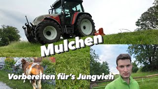 Jungvieh Weide herrichten  Milchkuh Weide Mulchen [upl. by Sager]