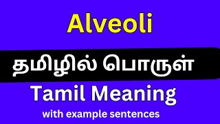 Alveoli meaning in TamilAlveoli தமிழில் பொருள் [upl. by Mihsah808]