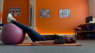 1 Spinal Stabilisation Exercises For Back Pain [upl. by Hoxsie236]