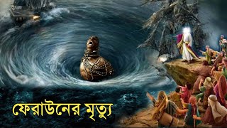 ফেরাউনের শেষ পরিনতি  মুসা নবী ও ফেরাউনের কাহিনী  ইসলামিক কাহিনী  OUR ISLAM [upl. by Natika439]