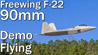 Tutorial Advanced Flying Techniques w Freewing F22 Raptor [upl. by Ahsemik]