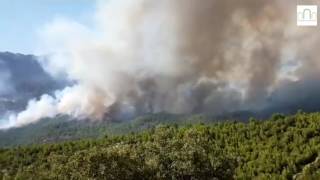 Así se encuentra el incendio forestal en Yeste [upl. by Heyward675]