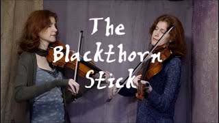 Fiddle Duet  The Blackthorn Stick  Traditional Irish Jig with Harmony Part [upl. by Akcirre]