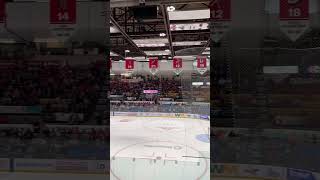 Drummondville Voltigeurs 20242025 goal horn live [upl. by Bashee]