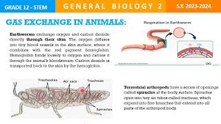 LESSON 3  GAS EXCHANGE AND RESPIRATION [upl. by Onilecram]