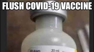 Chumpy Subs reuploaded Flush COVID19 vaccine 💉SuperfieldSuperaliminalSubliminal 💉 [upl. by Liesa]