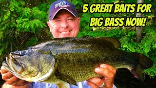 5 GREAT BAITS FOR BASS NOW  Catching big bass across Northern Ontario [upl. by Kyl124]