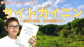 【植物ホルモン2】サイトカイニンの生理作用・役割！私たちの農園芸にどう関わるのか！？ [upl. by Ynabe]