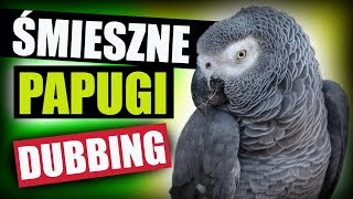 ŚMIESZNE PAPUGI 😂 DUBBING MATT OLECH [upl. by Obrien]