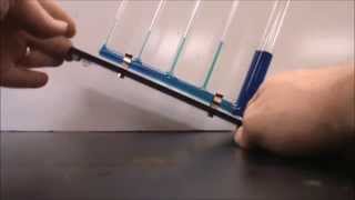 capillary action movie [upl. by Knapp]