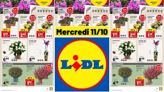 Catalogue LIDL du 11 au 17 octobre 2023 💥 Arrivage Plantes amp Fleurs 🌼 [upl. by Ahsennod]