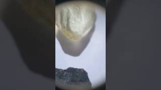 Prospecting gemstones southern western australia [upl. by Athenian]