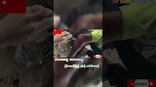 ပြည်သူ့ရင်ခွင်ခိုလှုံကြပါ။ myanmaryoutubeshort army democracy game gmail pdf tiktok youtube [upl. by Bridie]