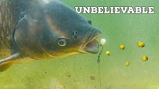 You wont believe this happened while fishing for carp [upl. by Monarski]