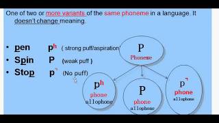 Morphology Lesson 5 Part 1 Morphemes and Allomorphs [upl. by Ennairrek]