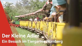 “Der Kleine Adler” Ein Besuch im Tiergarten Nürnberg [upl. by Larkin]