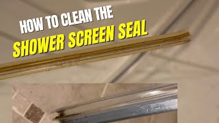 HOW TO CLEAN THE SHOWER SCREEN SEAL  SHOWER SCREEN DEEP CLEAN [upl. by Melisande]