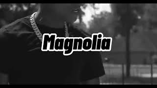 Nba Youngboy  Magnolia Ft Birdman Official Video From The Bayou [upl. by Krys]