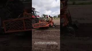 Machines de plantation de manioc TAGRM au Nigeria [upl. by Suicul438]