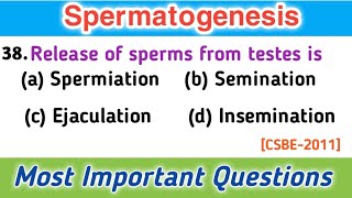 Spermatogenesis  embryology  developmental biology  general embryology mcq [upl. by Ayotahs]