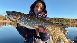 Vissen in Zweden deel 2 Fishing in Sweden part 2 [upl. by Nesmat]