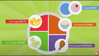 Nutrition Importance of the Five Food Groups [upl. by Enneillij]