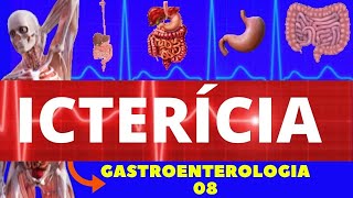 ICTERÍCIA CAUSAS SINTOMAS DIAGNÓSTICO E TRATAMENTO  GASTROENTEROLOGIA [upl. by Ardni]