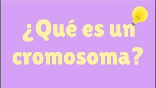 ¿Qué es un cromosoma [upl. by Lerraf]