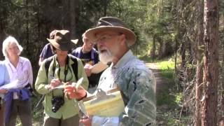 Wild Edible and Medicinal Plants with Michael Pilarski [upl. by Einwat446]