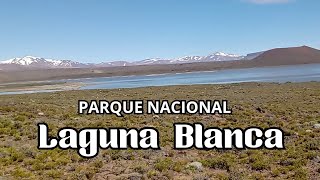 Visitamos el Parque Nacional LAGUNA BLANCA [upl. by Rebekkah582]