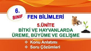 6Sınıf Fen Bilimleri 5Ünite Canlılarda Üreme Büyüme ve Gelişme [upl. by Ozan]