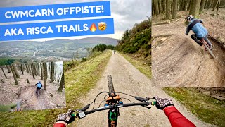 CWMCARN OFFPISTE MTB GOLD AND MY FASTEST EVER WHEELIE DAY 2 [upl. by Belicia]