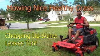 Cutting Grass  Mowing Thick Healthy Grass with Gravely Zero Turn Lawn Mower ZTR [upl. by Atteval]