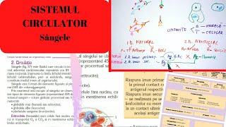 ADMITERE MEDICINA SISTEMUL CIRCULATOR 1 Sangele [upl. by Eelram]