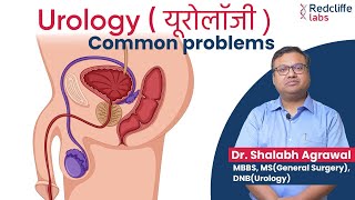 🤔 Who Is A Urologist And What Do Urologists Do💹 What Diseases Do Urologists Treat When to Consult [upl. by Capone]