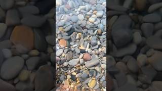 Going deep for rocks rocks rockhounding lakemichigan [upl. by Sallyanne448]