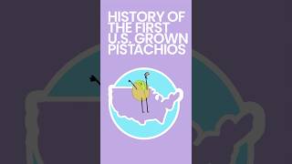 History of the First US Grown Pistachios foodfacts foodhistory [upl. by Rolyks]