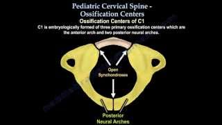 Pediatric Cervical Spine Ossification Centers  Everything You Need To Know  Dr Nabil Ebraheim [upl. by Lehcim990]