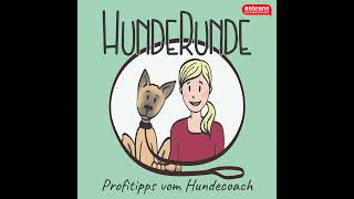 73 Das gehört mir Territoriales Verhalten beim Hund [upl. by Gussi]