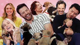 Only True Marvel Fans Will Enjoy These Puppy Interviews [upl. by Notselrahc]