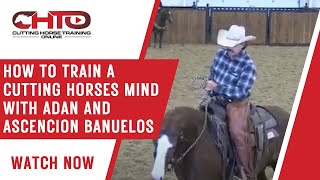 How To Train A Cutting Horses Mind with Adan and Ascencion Banuelos [upl. by Kwang]