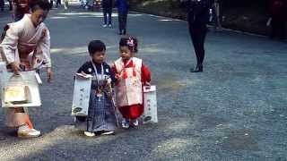 Japanese kids dressed in traditional kimonos  very cute [upl. by Maillij]