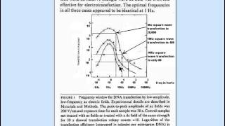 Transfection amp Electroporation Explained [upl. by Amye]