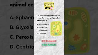 NEET Biology Question Practice shorts neet youtubeshorts [upl. by Nirre]