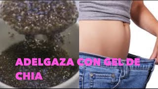 Bloquea la GRASA y el AZÚCAR con Gel de SEMILLA DE CHÍA  Lose Weigh With CHIA [upl. by Stokes]