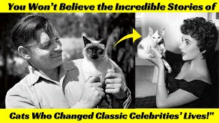 You Won’t Believe the Incredible Stories of Cats Who Changed Classic Celebrities’ Livesquot [upl. by Epner453]