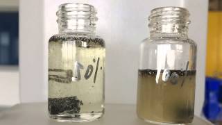 CalAcid  50 Dilute vs NonDilute [upl. by Bozovich]