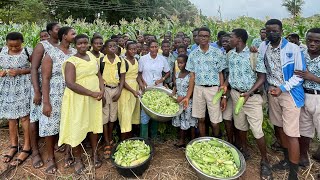 How A Secondary School In Ghana Is Feeding Over 2000 Student Population From 1 Acre Of Farmland [upl. by Anon]