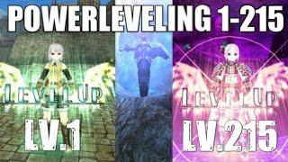 Powerleveling 1215  Most Efficient Leveling Guide  Toram Online [upl. by Fiel604]