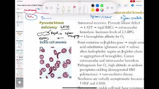 Pyruvate kinase deficiency haematology 50 First Aid USMLE Step 1 in UrduHindi [upl. by Orofselet]